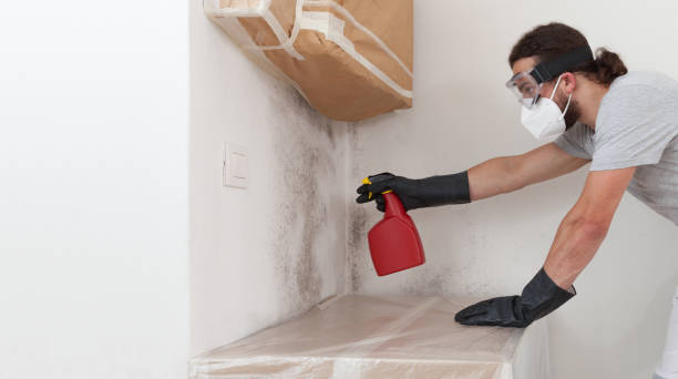 Professional Mold Remediation technician working in Sanford, CO